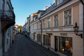 Old Town - Viru Gate Apartment, Tallinn